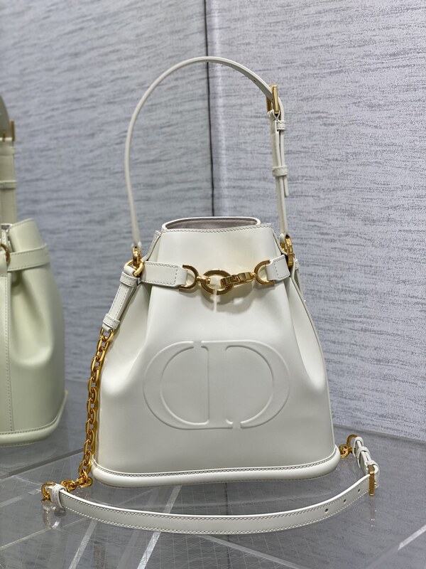 디올 C'EST Dior 미디엄백