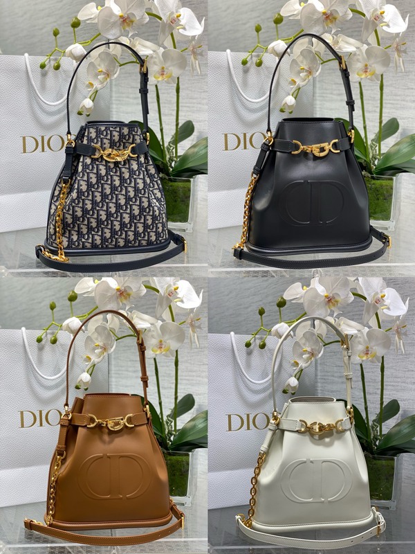 디올 C'EST Dior 미디엄백