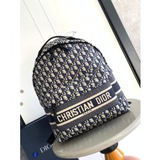 디올 오블리크 트래블 백팩